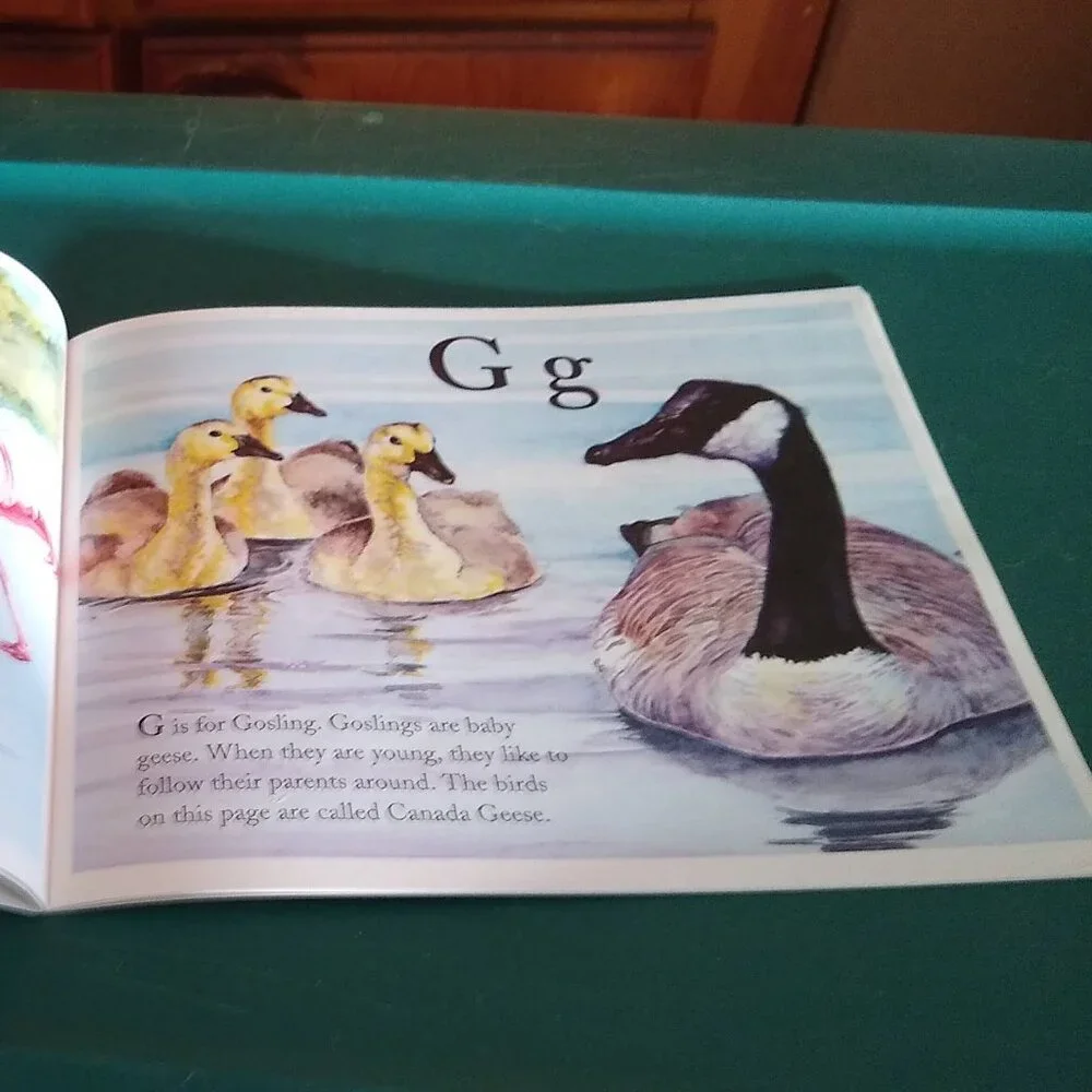 The Bird Alphabet Book by Jerry Pallotta New